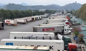 Tạm dừng áp dụng Nghị định 46 về an toàn thực phẩm đến hết ngày 15/4