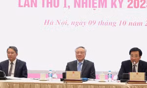 Đảng ủy Chính phủ thực hiện hiệu quả các quyết sách mang tính lịch sử