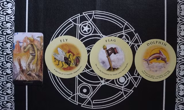 Tarot tuần này: Nhân Mã rung động trái tim, Song Ngư "xú túi mè" trúng ngay "bía"