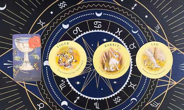 Tarot tuần này: Bạch Dương chợt thấy tương tư, Song Tử cần tìm “thành tựu ẩn”