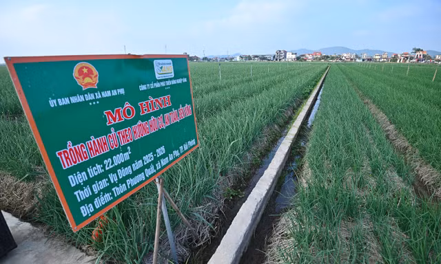 Đề xuất quảng bá, tiêu thụ nông sản qua ứng dụng AI 