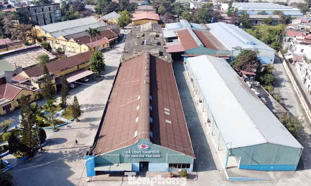 Công ty Đồ hộp Hạ Long tái khởi động sản xuất, siết chặt kiểm soát an toàn thực phẩm