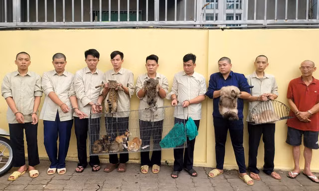 Mang súng điện, hơi cay đi 'săn' mèo, nhóm thanh niên sa lưới