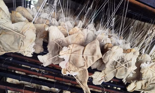 Hơn 55 tấn lòng, dạ dày và chân gà không rõ nguồn gốc trong kho doanh nghiệp ở Hải Phòng