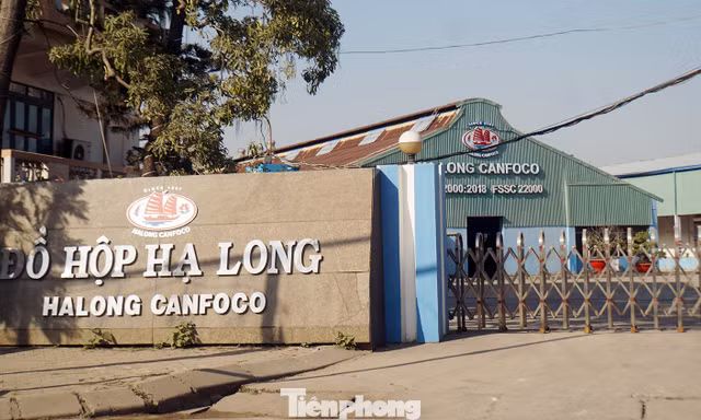 Trụ sở Công ty CP đồ hộp Hạ Long, trên phố Lê Lai, TP Hải Phòng.