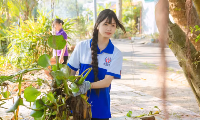 Phường ở TPHCM dựng phao chắn rác, thả cá, động vật thủy sinh xuống dòng kênh xanh