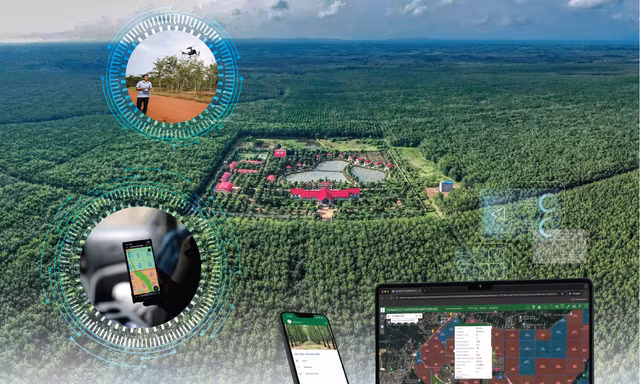 VRG đặt mục tiêu hoàn thành kế hoạch sản xuất kinh doanh và đầu tư năm 2026