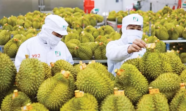 Hệ thống truy xuất nguồn gốc nâng tầm vị thế nông sản Việt