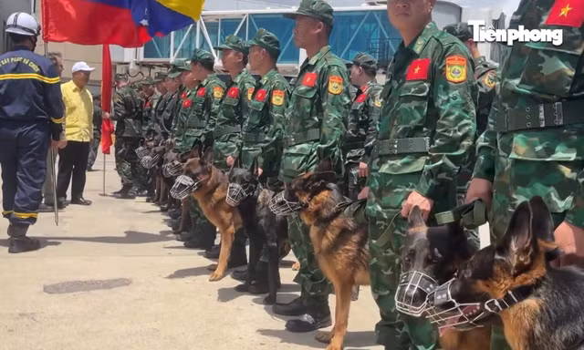 Quân khuyển Việt Nam và cuộc tìm kiếm đặc biệt ở Venezuela