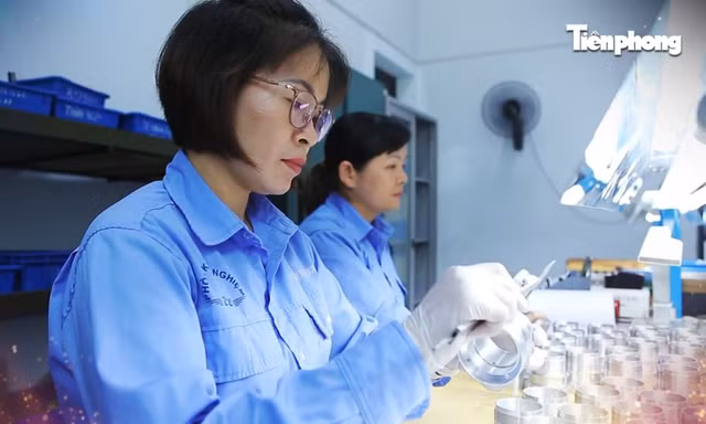 Những bóng hồng ‘chăm sóc’ ngòi đạn để tổng lắp vũ khí cho Quân đội