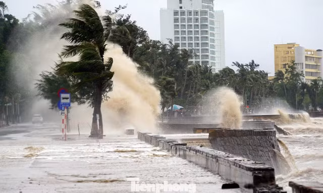 Hải Phòng cấm tàu thuyền ra khơi 
