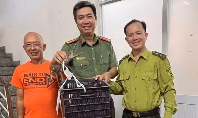 Phát hiện cá sấu 'đi dạo' trong sân nhà dân ở TPHCM