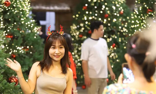 Bạn trẻ rạng rỡ check-in với hàng thông Noel lung linh, huyền ảo