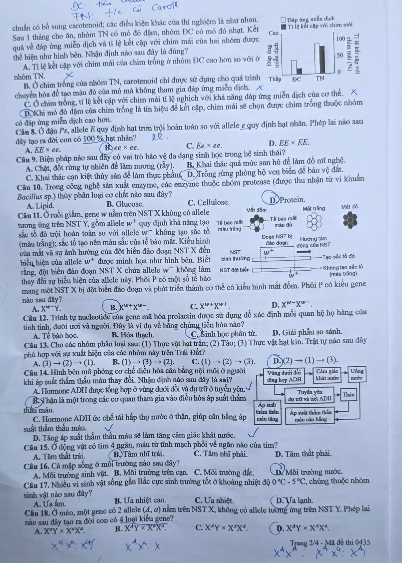 sinh-2.jpg