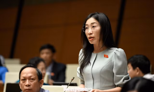 Đại biểu Quốc hội đề xuất định danh tài khoản tôn giáo, cấm thao túng thuật toán lan tin sai lệch