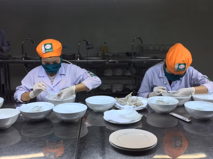 Nhân viên đang sơ chế tổ yến nuôi