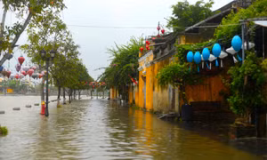 Đường sắt tạm dừng 17 đoàn tàu, đường ra sân bay Phú Bài gặp khó