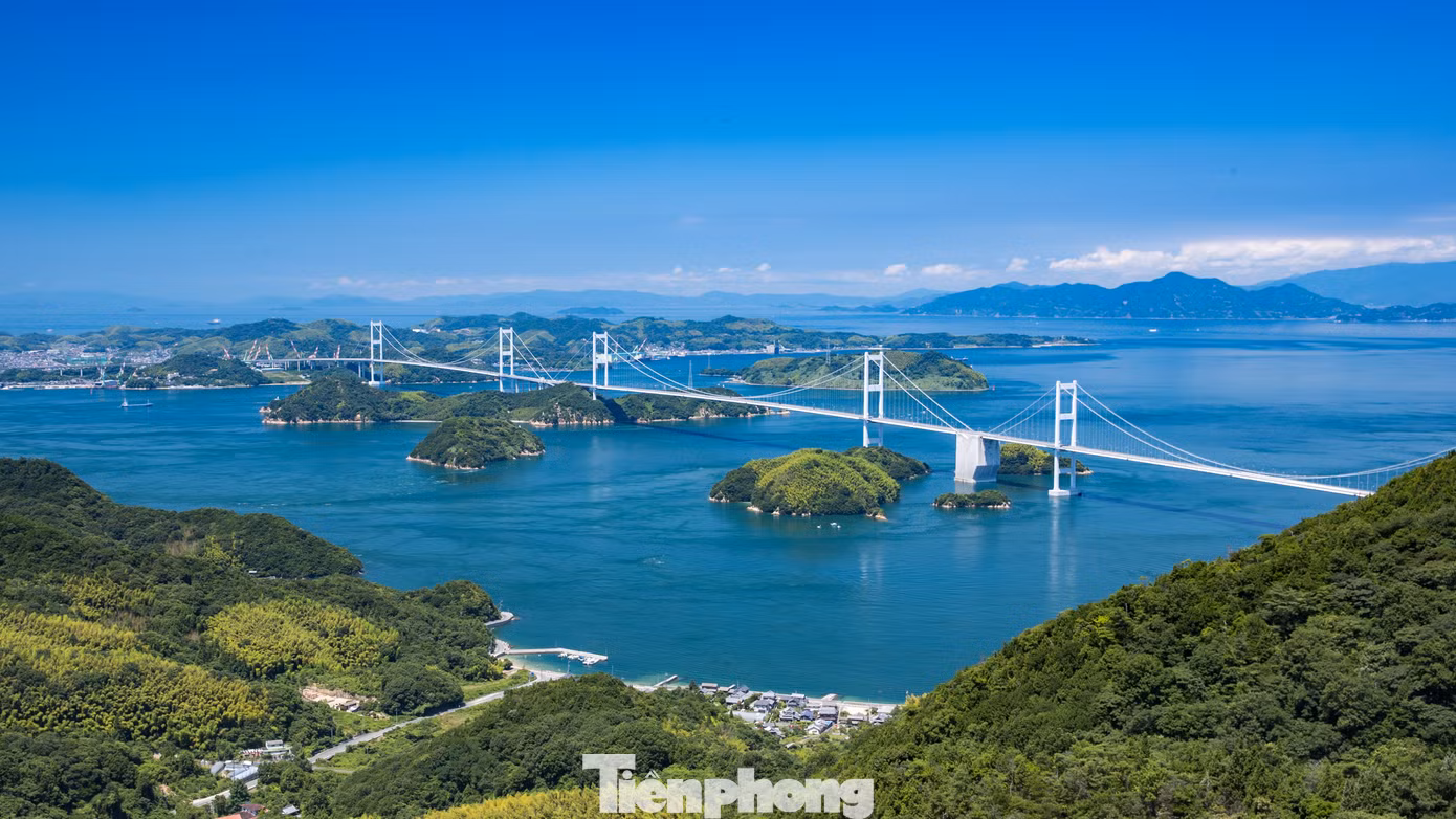 tp-c_cau-sato-okayama.jpg