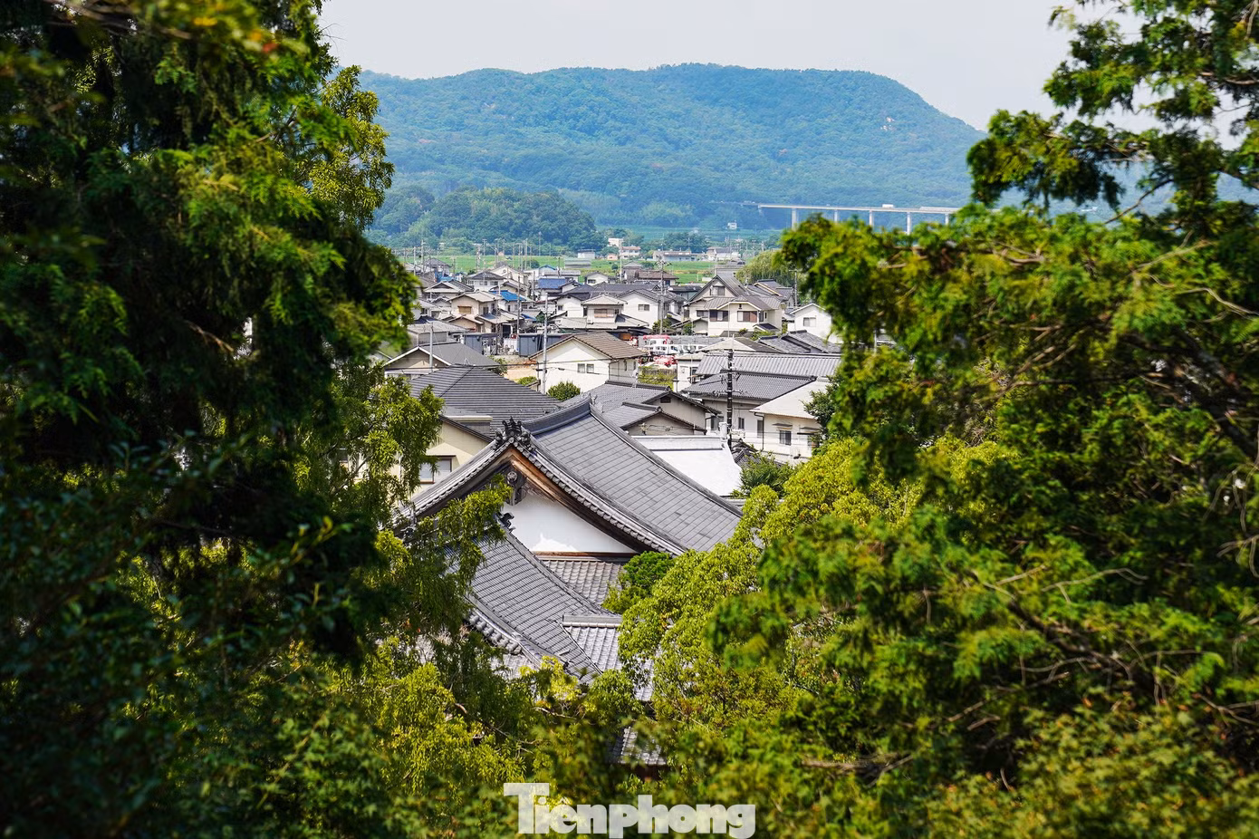 tp-c_okayama-japan-21.jpg