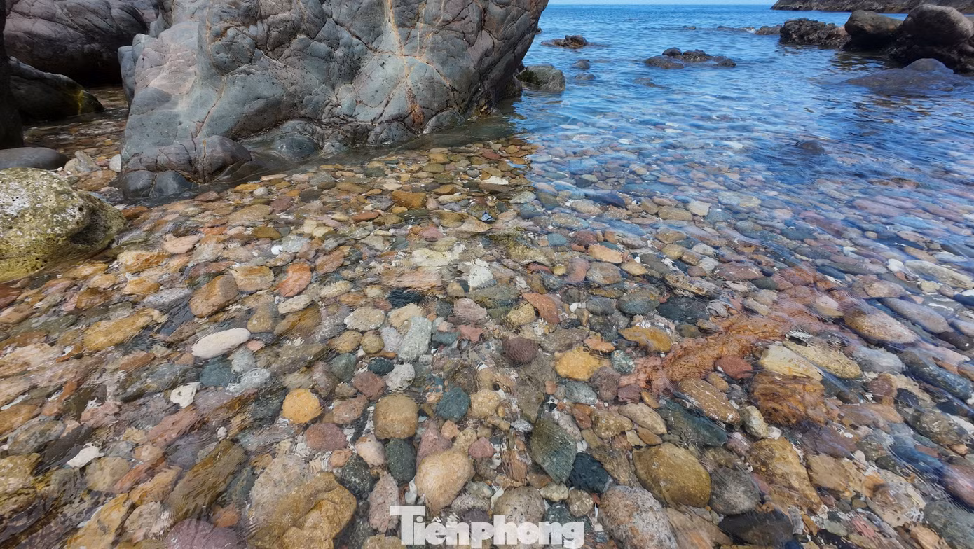 tp-hon-seo-quy-nhon-22.jpg
