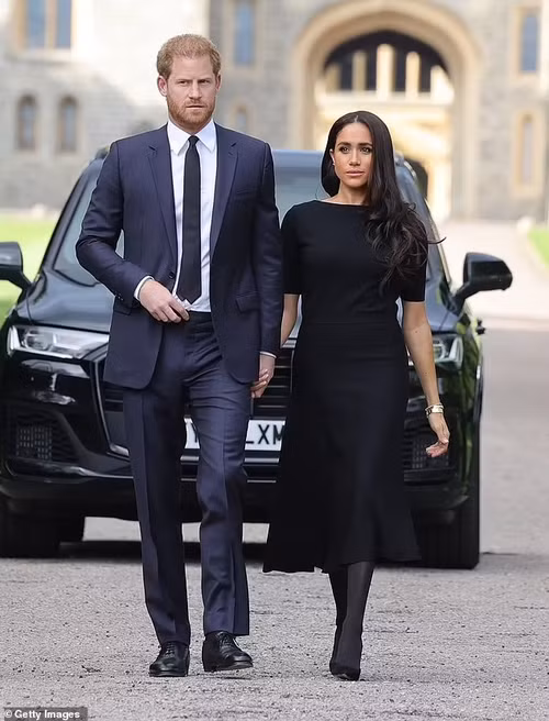 Chuyên gia hoàng gia tố Meghan và Harry lợi dụng điểm yếu của vua cha. Ảnh: Getty Images.