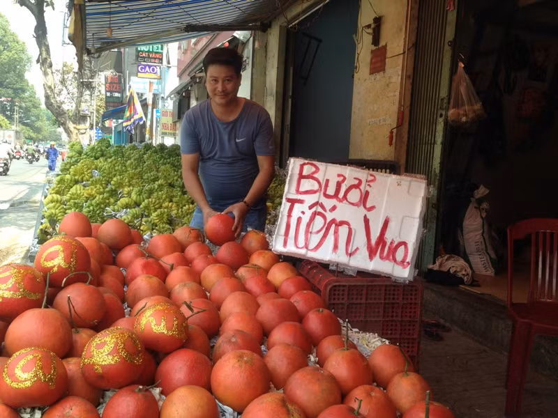 Bưởi Kỳ Đà 'khủng', dừa tài lộc đổ bộ chợ Tết Sài Gòn ảnh 9
