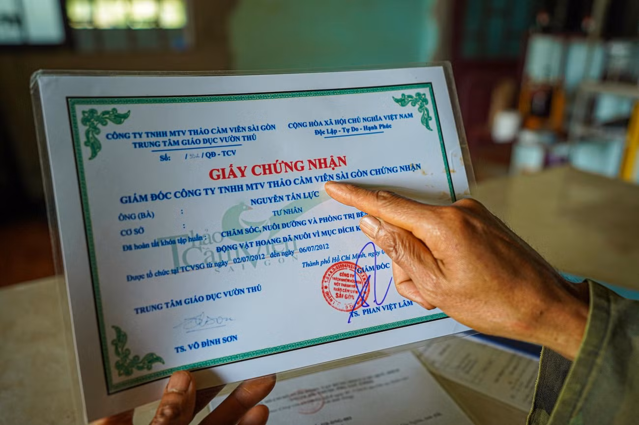 Đầu tư nuôi chồn lấy cà phê mới hơn ba năm nhưng từ 9 năm trước, anh Lực đã chủ động mày mò đi học cách chăm sóc thú ở Thảo Cầm Viên Sài Gòn.