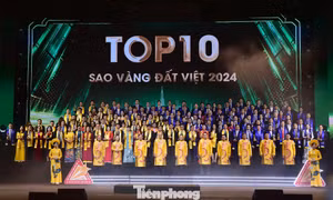 Hội Doanh nhân trẻ Việt Nam khảo sát về Giải thưởng Sao Vàng đất Việt
