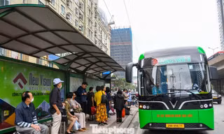 Hà Nội: Đấu thầu lại các tuyến, chuyển đổi sang buýt điện