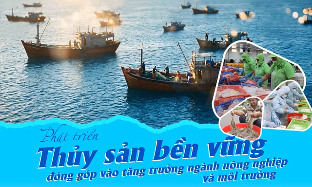 Phát triển thủy sản bền vững đóng góp vào tăng trưởng ngành nông nghiệp và môi trường