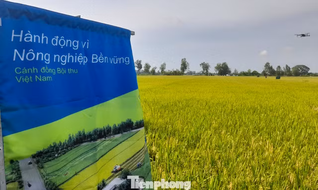 Thanh niên chung tay xây dựng hệ sinh thái nông nghiệp xanh từ cộng đồng