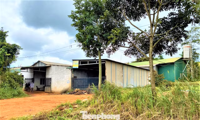 Vụ 'xẻ thịt' chuyển nhượng trái phép 166,8 ha: Xử lý cán bộ liên quan, thu hồi toàn bộ dự án
