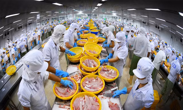 Luật Thuế giá trị gia tăng vừa thi hành đã phát sinh 'điểm nghẽn'