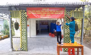 Độc đáo cổng điểm bầu cử được kết bằng lá dừa ở An Giang