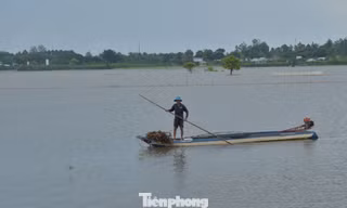 Đồng bằng sông Cửu Long trước câu hỏi: Ở lại hay di cư?