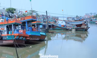 Vĩnh Long cao điểm tuần tra, xử lý tàu cá ‘3 không’
