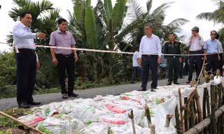 Vĩnh Long: 9 điểm sạt lở đặc biệt nguy hiểm trên tuyến đê bao ven sông Hậu
