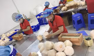 Thích ứng chính sách thuế của Mỹ vừa cấp bách, vừa lâu dài