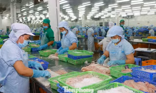 Doanh nghiệp đối mặt loạt thách thức 'sống còn' 
