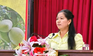 Nông dân trăn trở điệp khúc 'được mùa mất giá, được giá mất mùa'