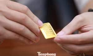 Giá vàng bật tăng mạnh