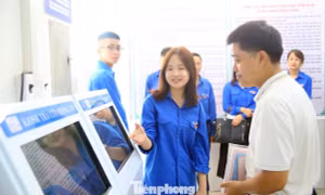 Đoàn viên thanh niên Hải Phòng hỗ trợ công tác vận hành chính quyền 2 cấp.