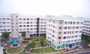 Lãi suất cho người trẻ vay mua nhà hiện ra sao? 
