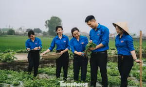 Hỗ trợ vốn vay ưu đãi phát triển mô hình kinh tế, sản phẩm OCOP ở 248 xã biên giới