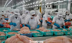 Nếu không vì người lao động, quê hương, có lẽ doanh nghiệp đã dừng lại 
