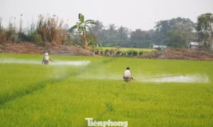 Báo động lạm dụng thuốc hóa học: Chuyên gia kêu gọi giảm hóa chất, tăng sinh học