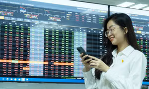 Dòng tiền xoay sang cổ phiếu doanh nghiệp nhà nước, loạt mã tăng trần
