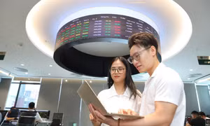Doanh nghiệp ồ ạt báo lãi, chứng khoán vẫn rung lắc