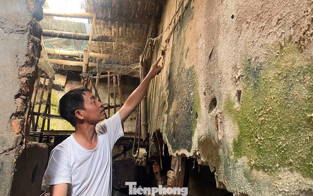 tp-xay-nham-nha-6.jpg