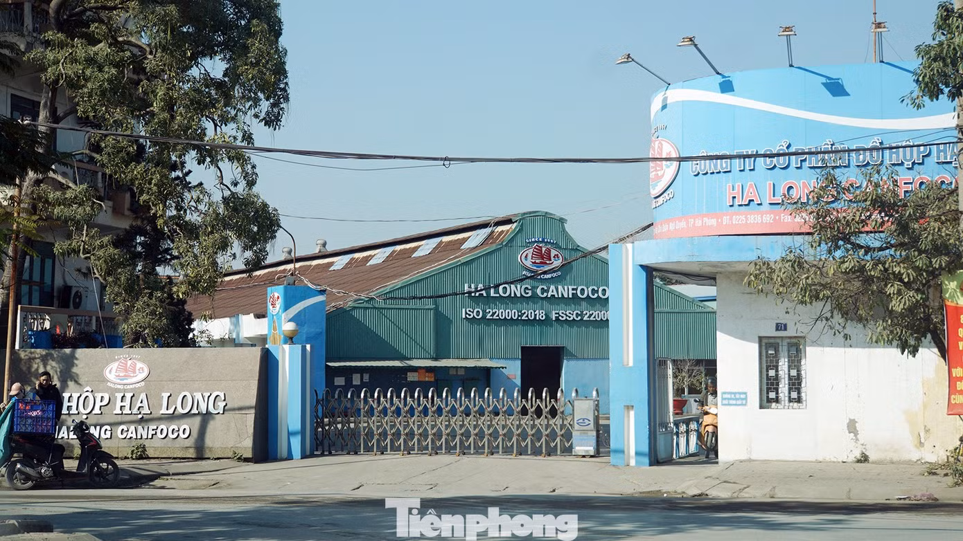 tp-do-ho-ha-long-1.jpg